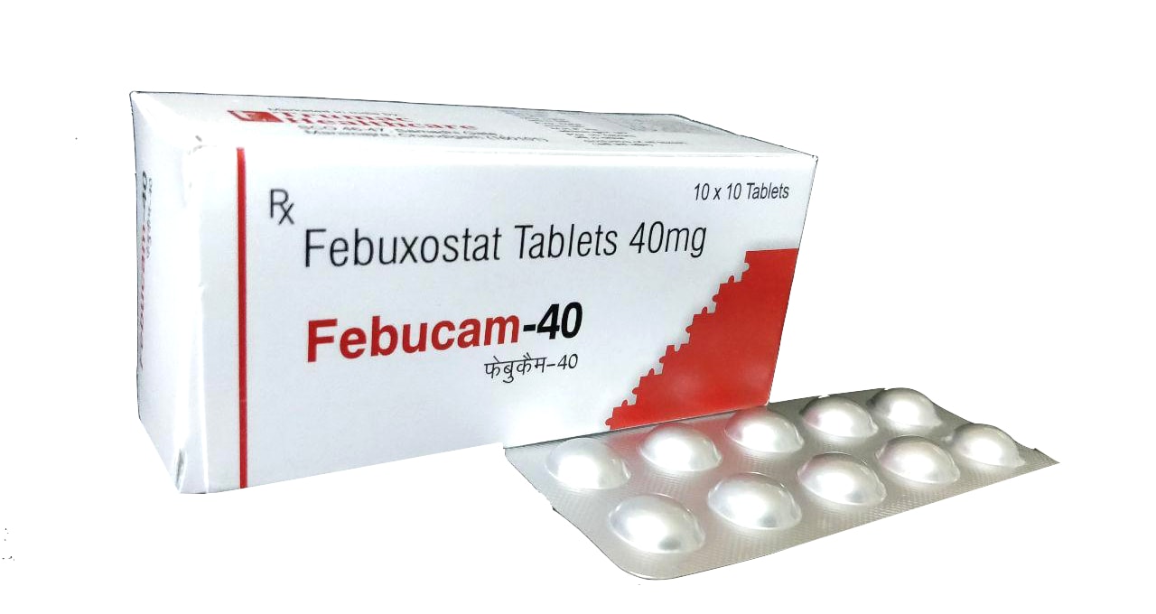 Febucam-40 Tablet — Febuxostat 40 mg from Trumac Healthcare PCD Pharma Franchise India