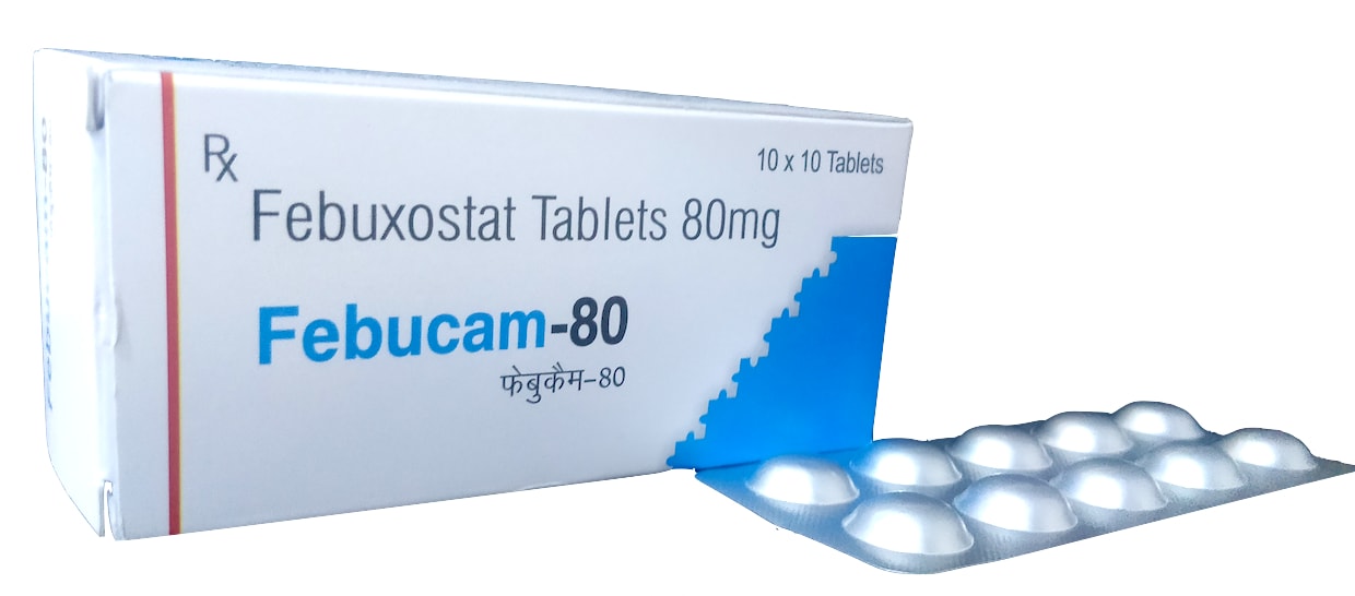 Febucam-80 Tablet — Febuxostat 80 mg from Trumac Healthcare PCD Pharma Franchise India