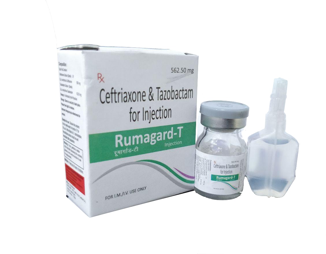 Rumagard-T 562.50 mg Injection — Ceftriaxone 500 mg + Tazobactam 62.5 mg from Trumac Healthcare PCD Pharma Franchise India